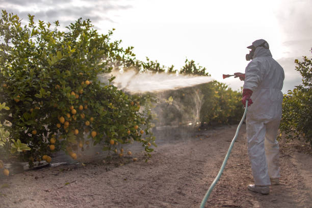 Best Affordable Pest Control Services  in St James, MN