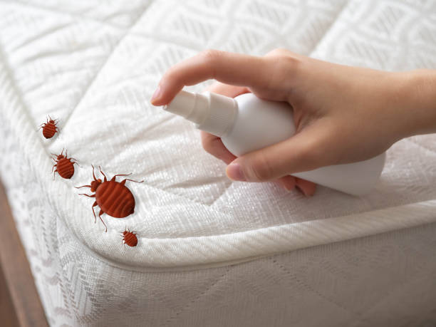Best Mosquito Control Services  in St James, MN