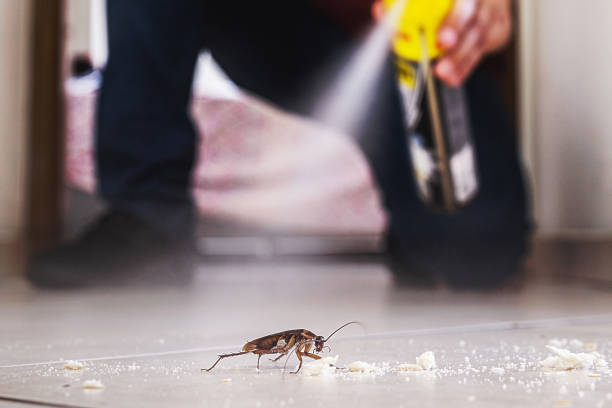 St James, MN Pest Control Company