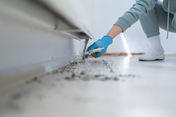 Best Ant Control Services  in St James, MN